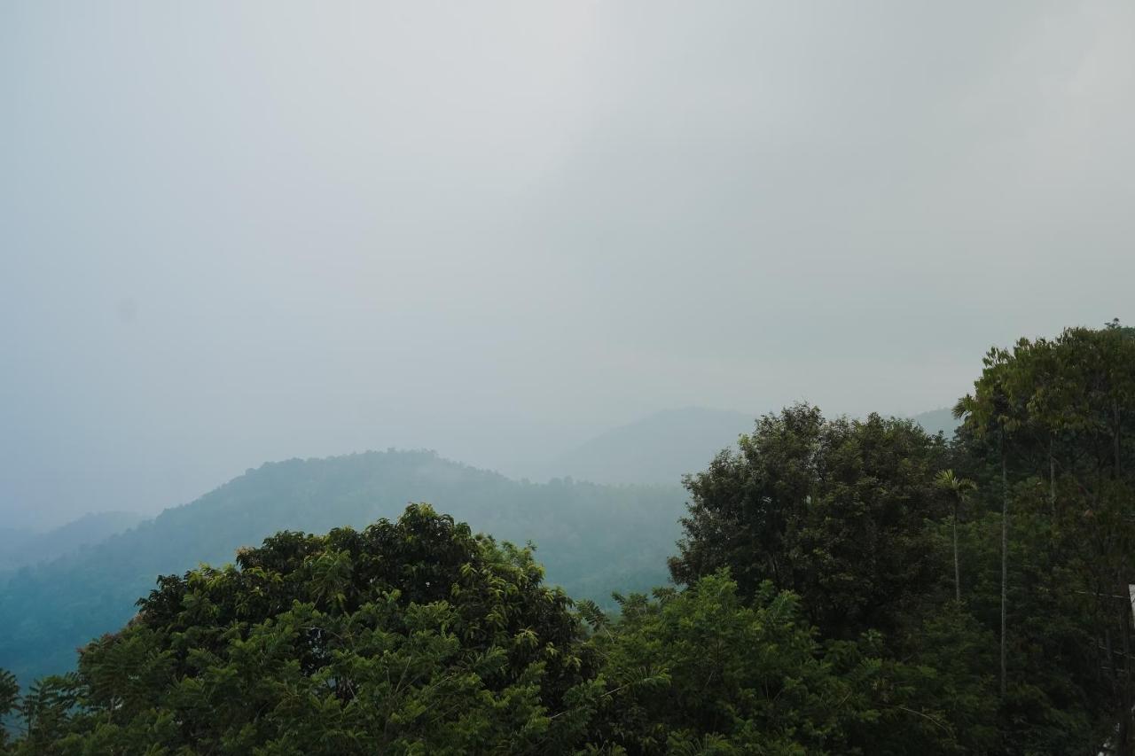 Sprise Munnar Resort And Spa Екстер'єр фото
